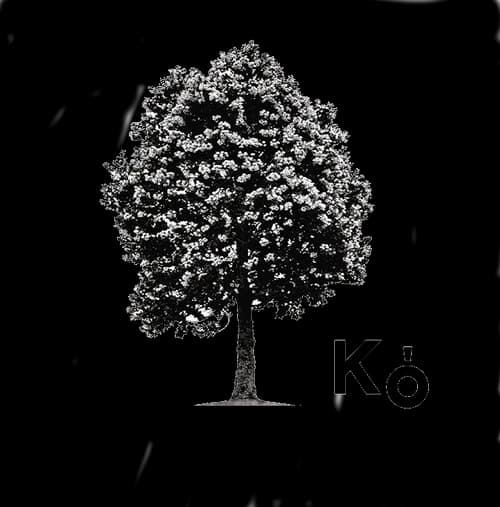 KUTRALCO/MARCA KO CHILE