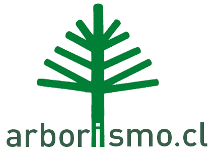 ARBORISMO